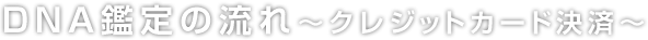 DNA鑑定の流れ～クレジットカード決済～