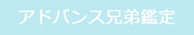 アドバンス兄弟鑑定