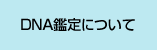 DNA鑑定について