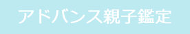 アドバンス鑑定